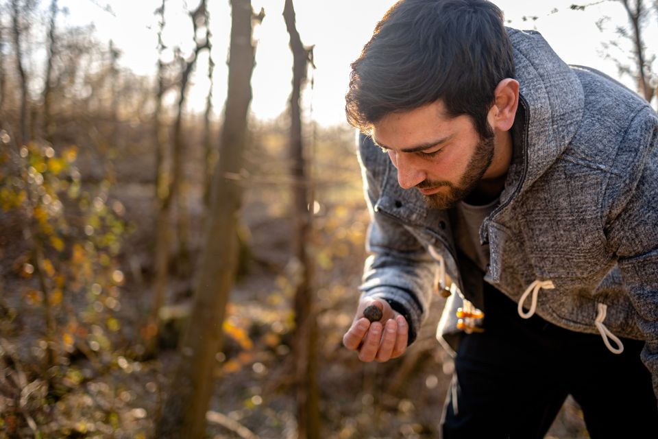 Langhe: Sunset Truffle Hunting With Tasting and Wine - Key Points