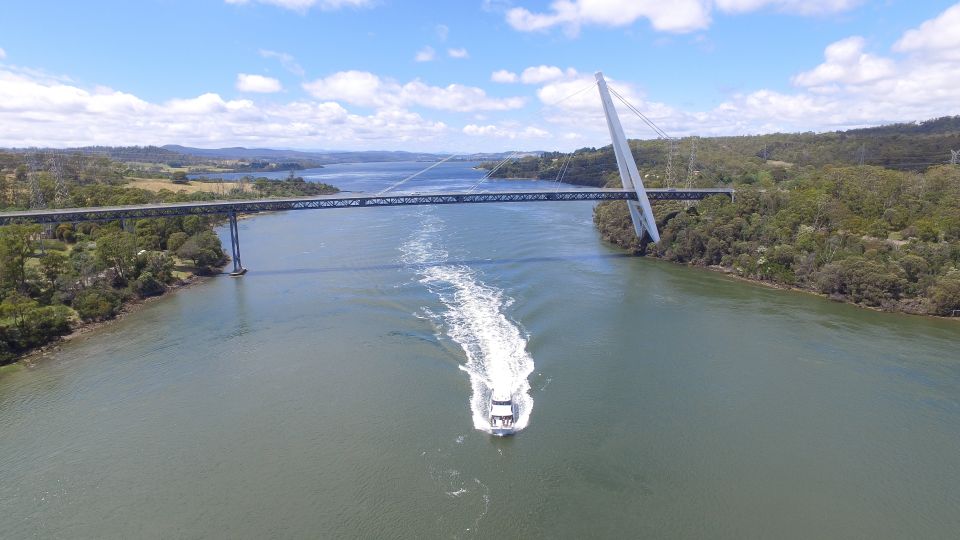 Launceston: 4-Hour Batman Bridge Luncheon Cruise - Key Points