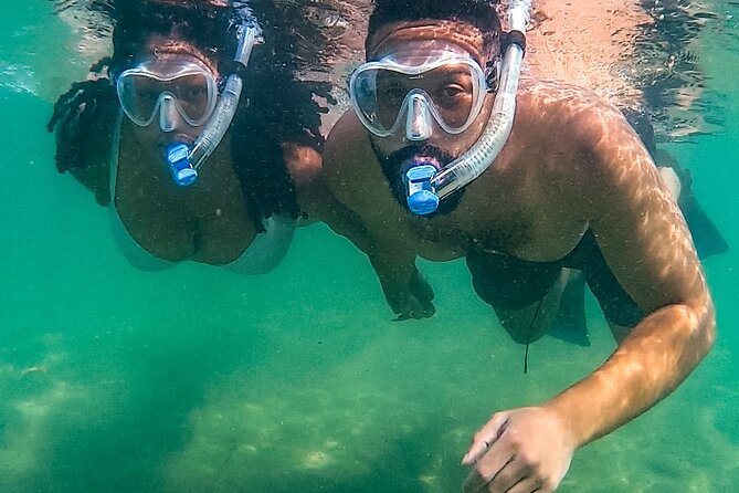 Learn to Snorkel With Fish and Turtles - Overview of Puerto Ricos Waters