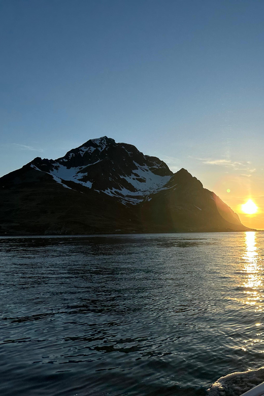 Leknes: 2 Hour Private Exclusive Midnight Sun Cruise by Boat - Good To Know