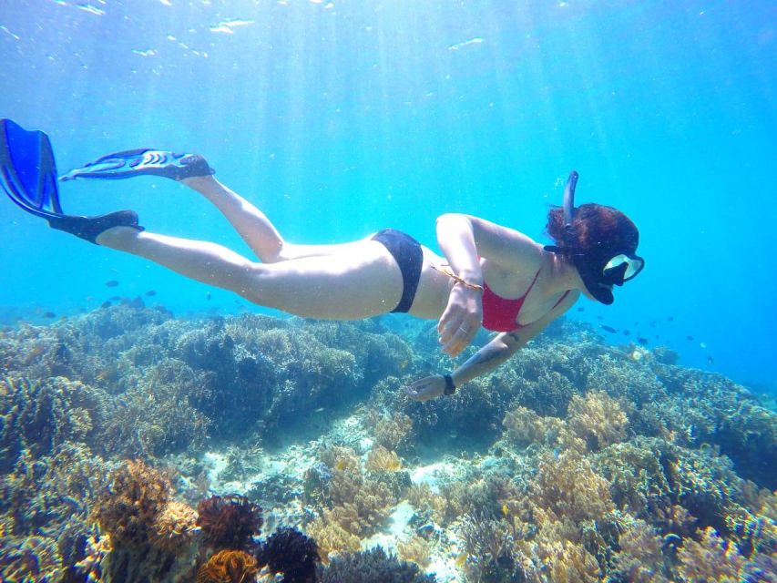 Lombok: Nanggu, Sudak & Kedis Islands Full Day Snorkeling - Key Points