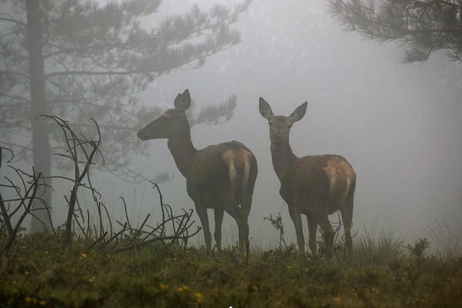 Lousa Mountain Private Tour - Key Points