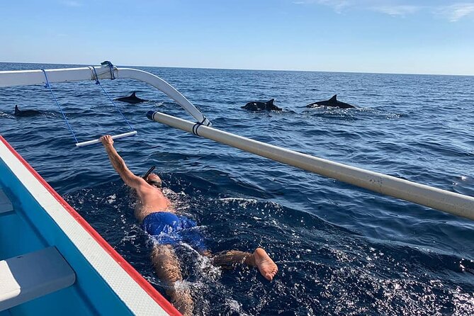 Lovina Dolphin Watching, Swimming, and Snorkeling Experience - Key Points
