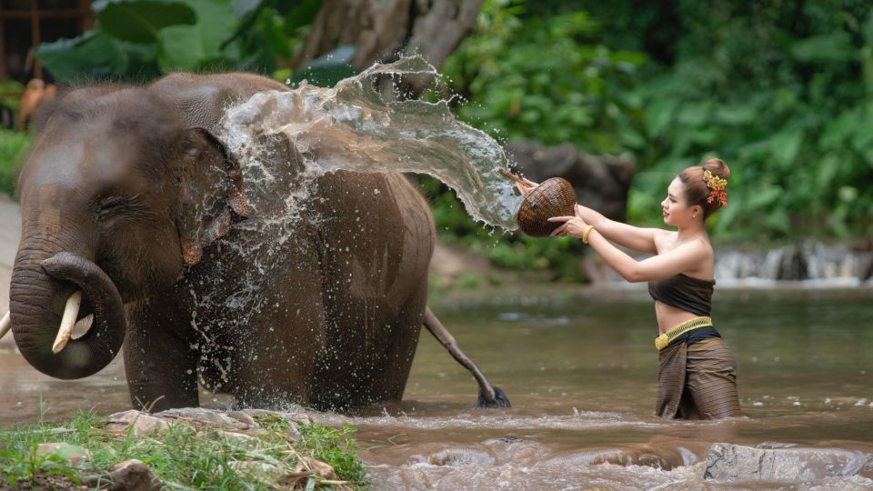 Luxury Chitwan Jungle Safari 4 Days Tour - Key Points