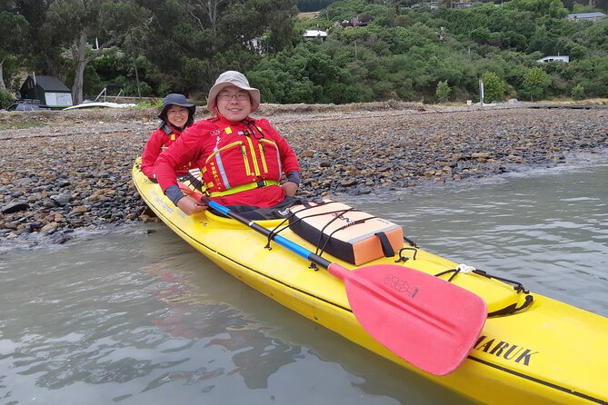 Lyttelton Shore Excursion - Sea Kayaking, Quail Island & Harbour - Key Points