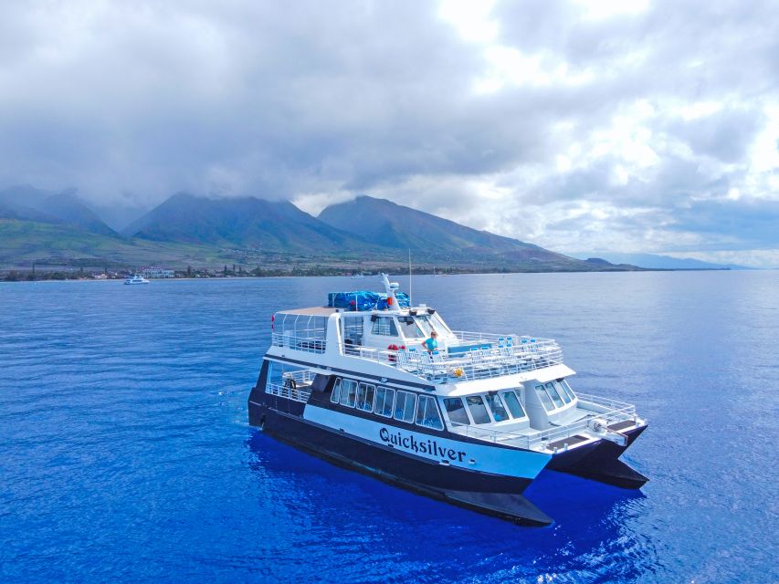 Maalaea Harbor: Whale Watching Catamaran Cruise - Key Points