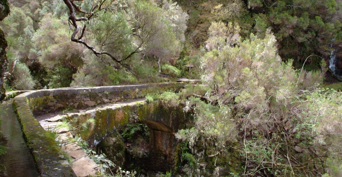 Madeira: Rabaçal Valleys 3-Hour Guided Walk - Key Points