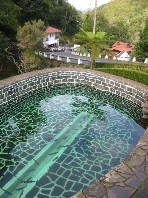 Madeira: Ribeiro Frio to Portela 4-Hour Guided Walk - Activity Details