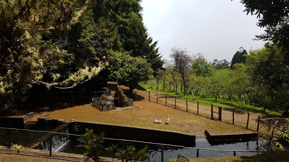 Madeira: Santana Traditional Houses Private Half-Day Tour - Key Points