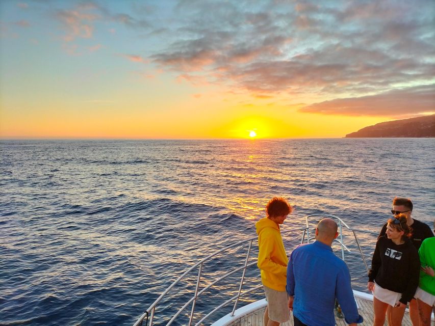 Madeira: Sunset Dinner Cruise - Key Points