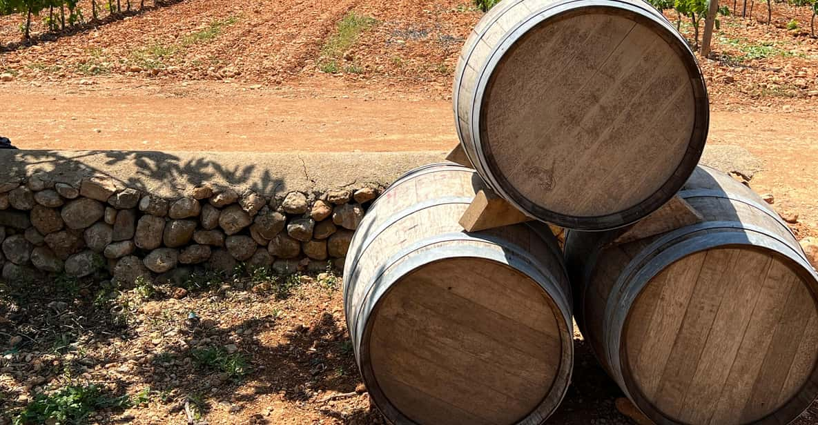 Mallorca: Discover the Secret Treasures of the Local Wine - Key Points