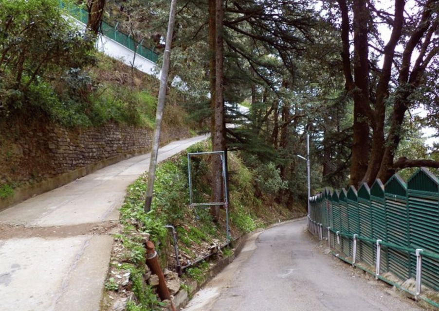 Manali Nature Walk (3 Hours Guided Trekking Experience) - Key Points