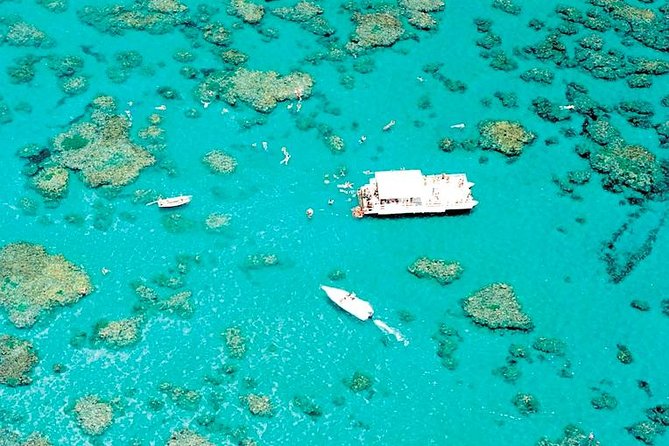 Maracajú With a Boat | Full Day #Iamgoingwithluck