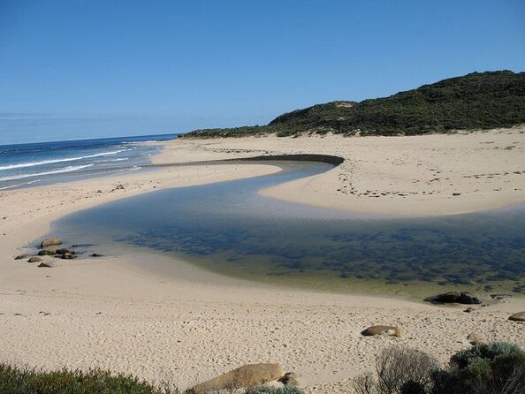 Margaret River Private Surf Lesson - Key Points