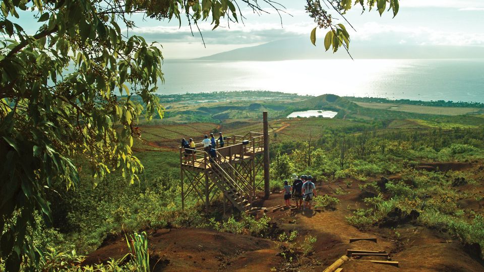 Maui: Kaanapali 8 Line Zipline Adventure - Key Points