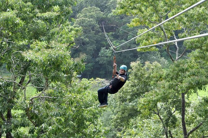 Mayan Jungle Canopy & Zip-line Tour, Monkey Business & West Bay Beach! - Tour Overview
