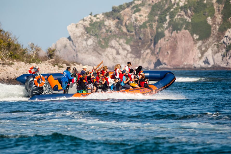 Mazatlan: Ten Islands Boating Expedition - Key Points