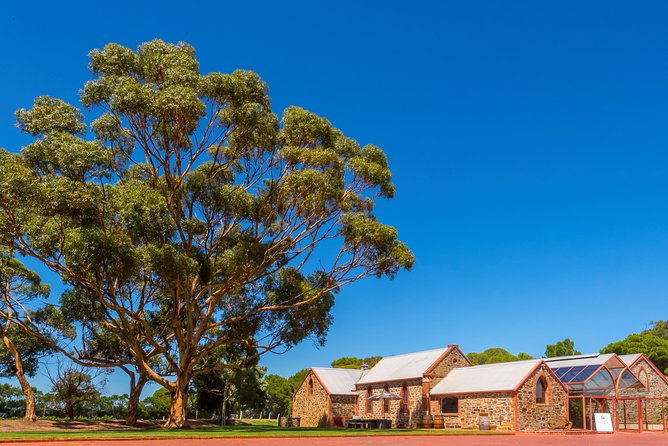 McLaren Vale and Glenelg Wine Tasting and Sightseeing (Half-day Afternoon) - Key Points