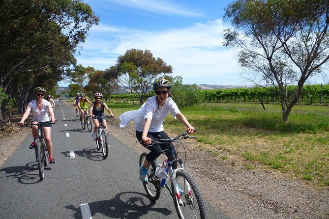 McLaren Vale Wine Tour by Bike - Key Points