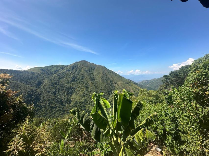 Medellin: Agro Tour Offers a Magical and Educational Experience - Key Points