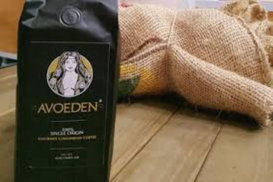 Medellin: Avoeden Café Coffee Brewing Workshop - Key Points