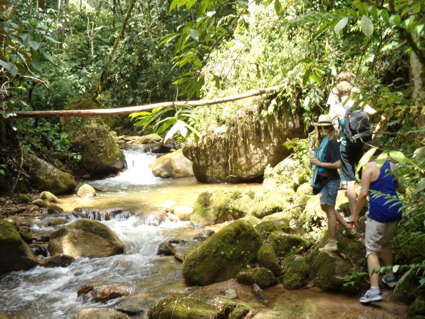 Medellin: Half–Day Private Nature Tour & Waterfall Hike - Key Points