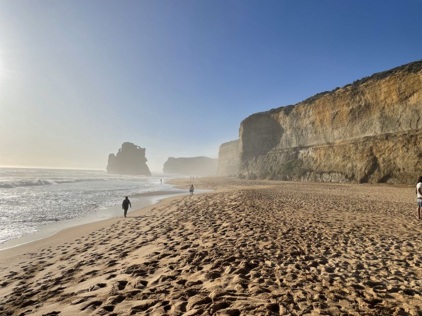 Melbourne: Great Ocean Road Day Trip With Rainforest Visit - Key Points