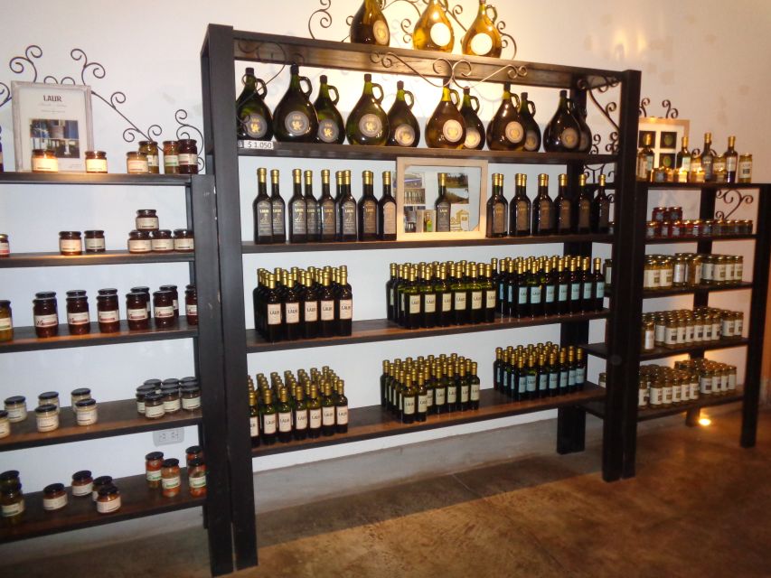 Mendoza: Half-Day Wine Tour With Tastings - Key Points