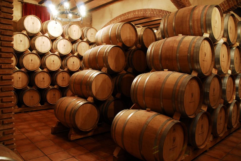 Mendoza: Small-Group Wineries Tour With Tasting and Lunch - Key Points