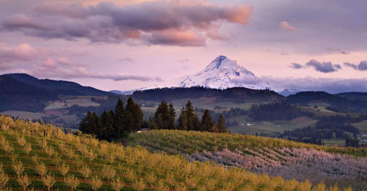 Mendoza: Wine Roads Half‐Day Tour With Regional Lunch - Key Points