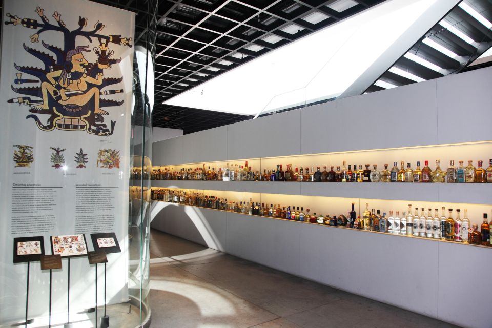 Mexico City: Half-Day Museum of Tequila & Mezcal - Tequila Culture and History