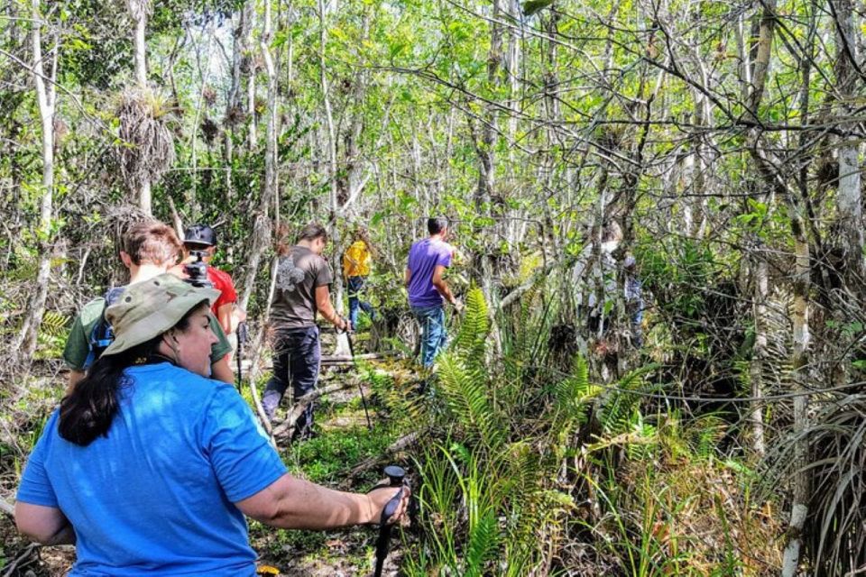 Miami: Everglades National Park Hiking and Kayaking Day Trip - Key Points