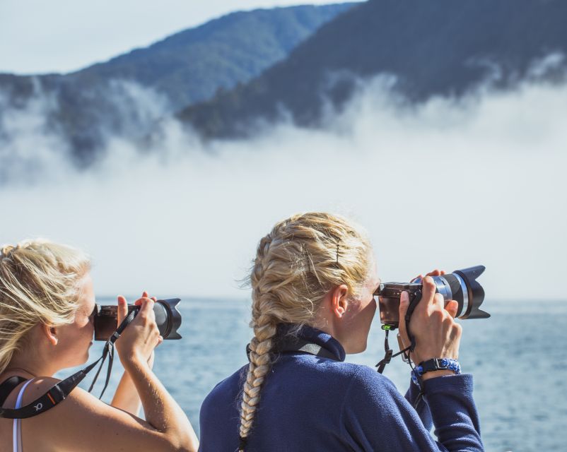 Milford Sound: Nature Cruise on a Modern Catamaran - Key Points