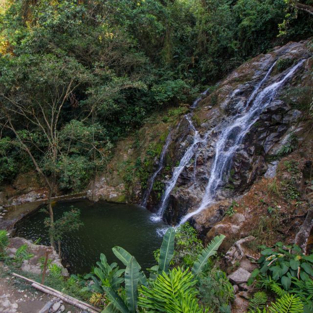 Minca: Day-Trip With Coffee Farm - Key Points