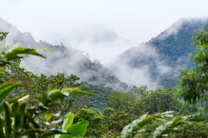 Mindo Cloud Forest From Quito All Included - Key Points