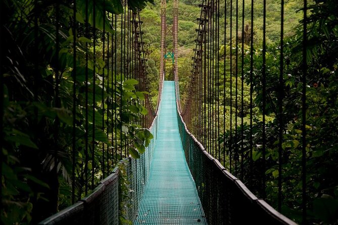 Mistico Hanging Bridges AM or PM - Key Points