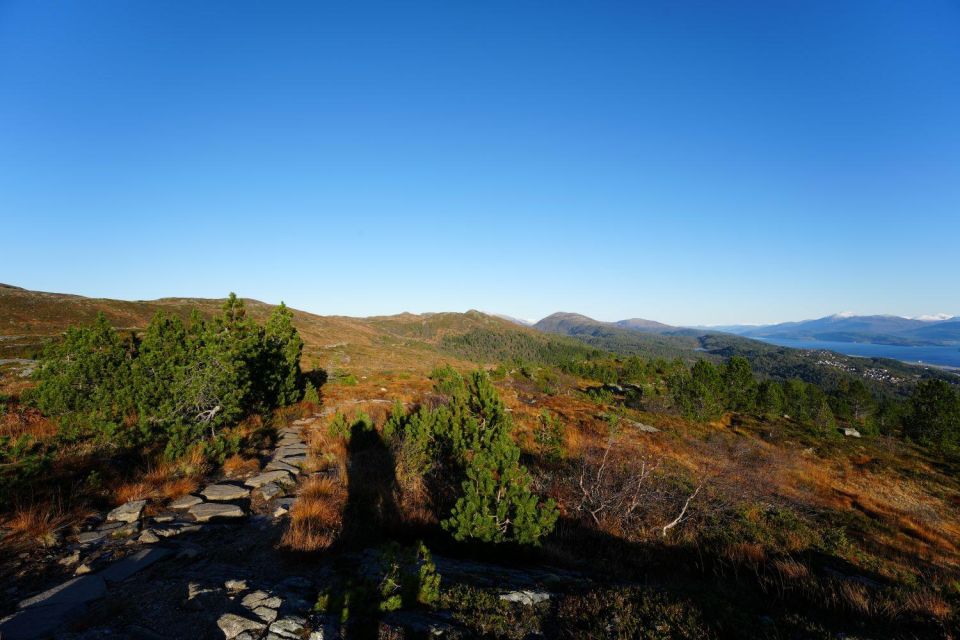 Molde - Guided Hike Along Mount Varden - Good To Know