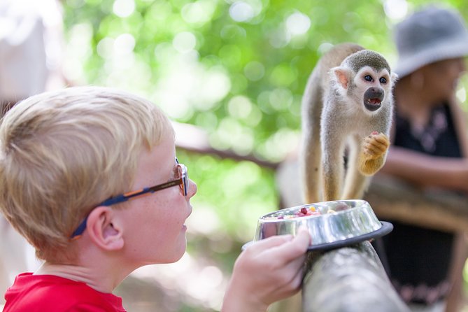 Monkeyland and Zipline Adventure From Puerto Plata - Ziplining Through the Choco Jungle