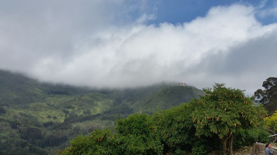 Monserrate Express Tour 3 Hrs - Key Points