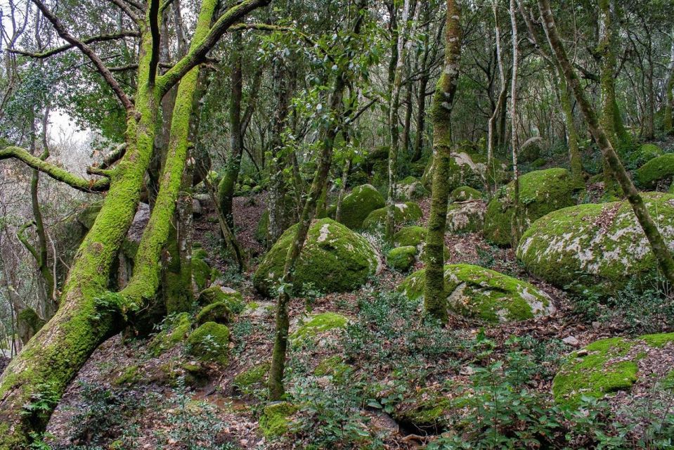 Monte Tiniterra: Guided Hiking Tour - Key Points