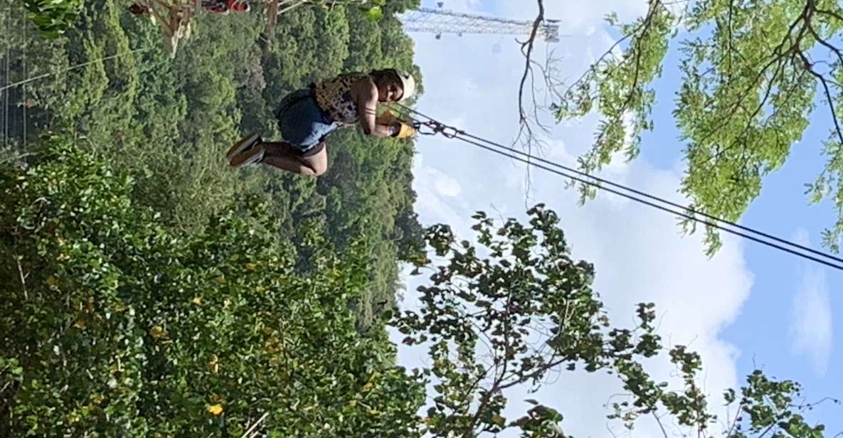 Montego Bay: Zipline, ATV, Horseback Riding & Catamaran Tour - Key Points