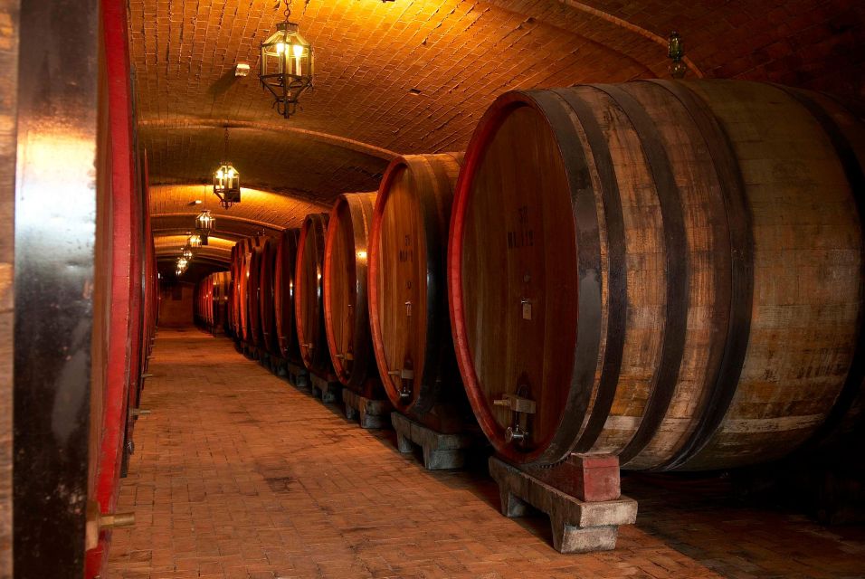 Montepulciano Wine Tour and Tasting Experience With Pairings - Key Points