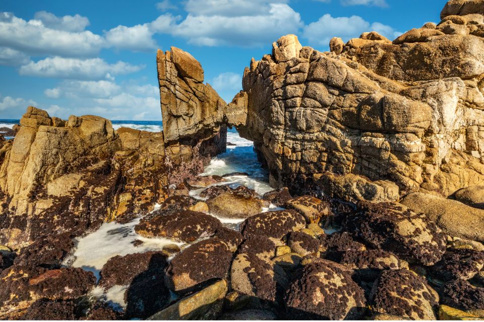 Monterey: 17-Mile Drive Self-Guided Audio Tour - Key Points