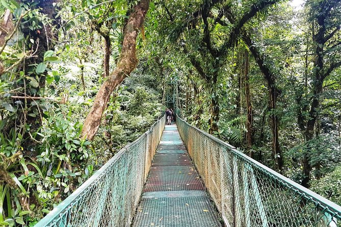 Monteverde Hanging Bridges Day Trip From San Jose - Overview of the Day Trip