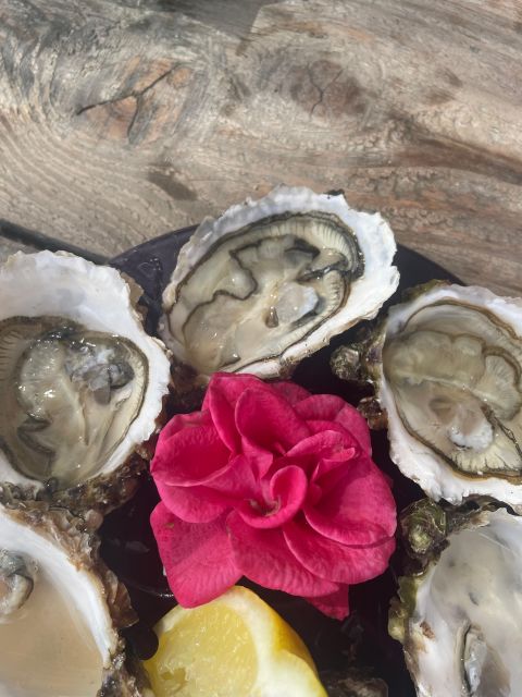 Montpellier: Day Trip With Boat Ride, Oysters, and Wine - Key Points