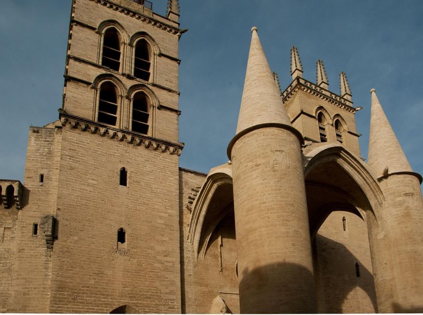 Montpellier - Private Historic Walking Tour - Key Points