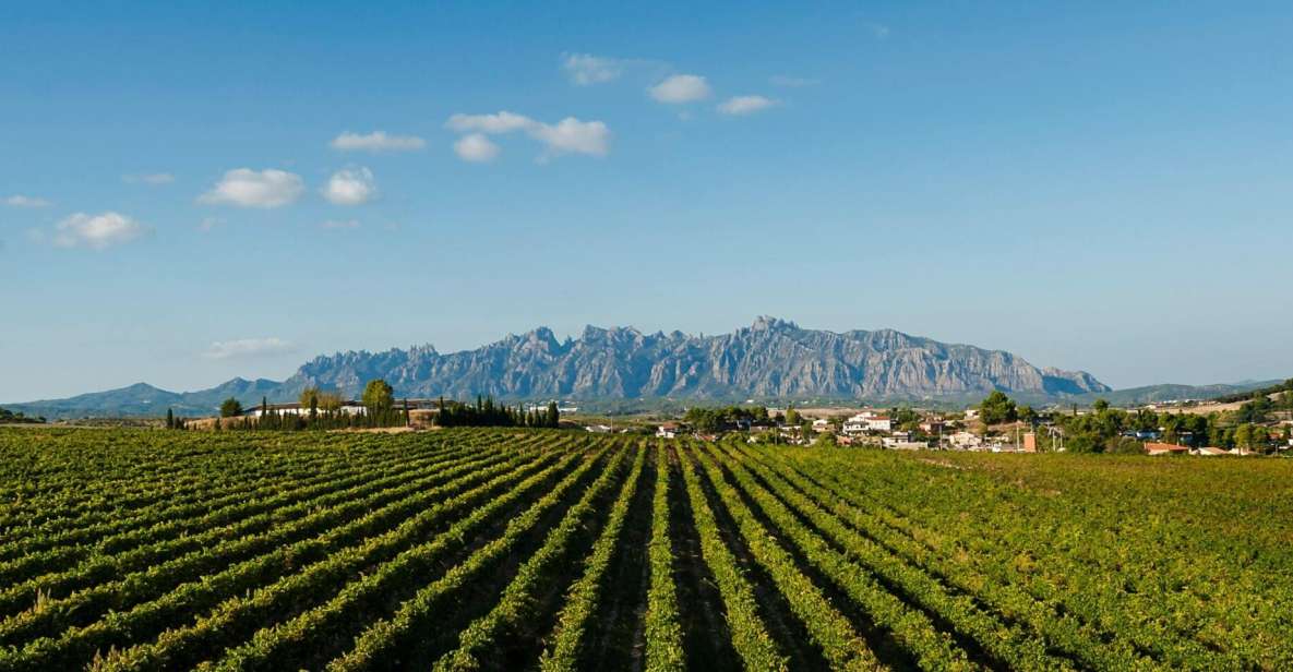 Montserrat & Cava Wineries Day Trip From Barcelona W/ Pickup - Key Points