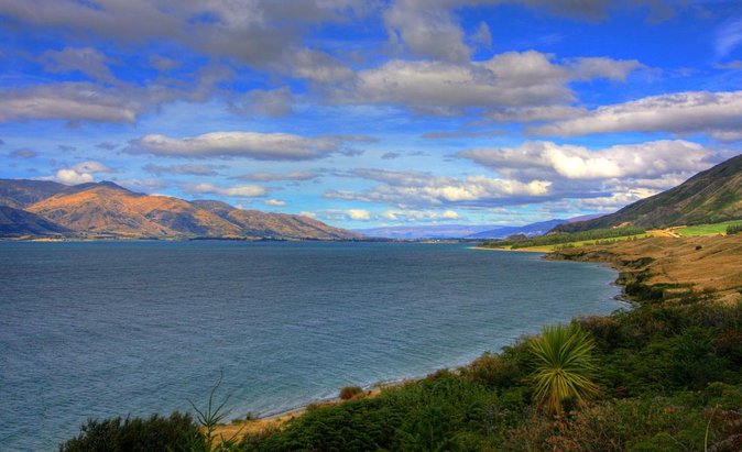 Morning Tea Cruise on Historic Motor Yacht From Te Anau - Key Points