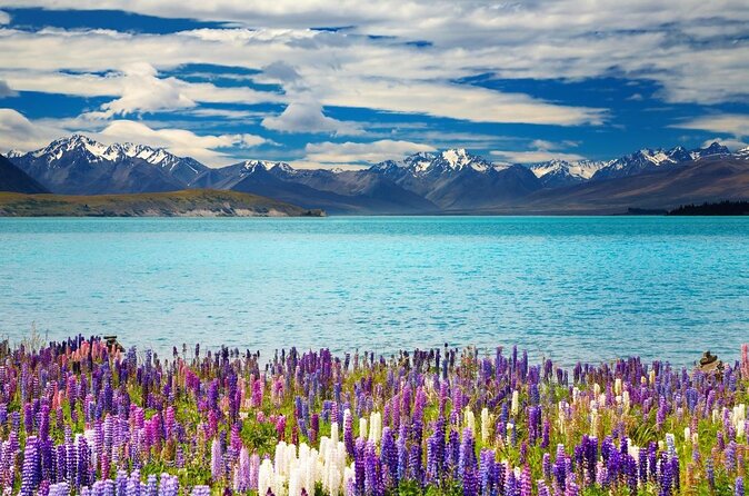 Mt Cook to Christchurch via Lake Tekapo Small Group Tour 1 Way - Key Points