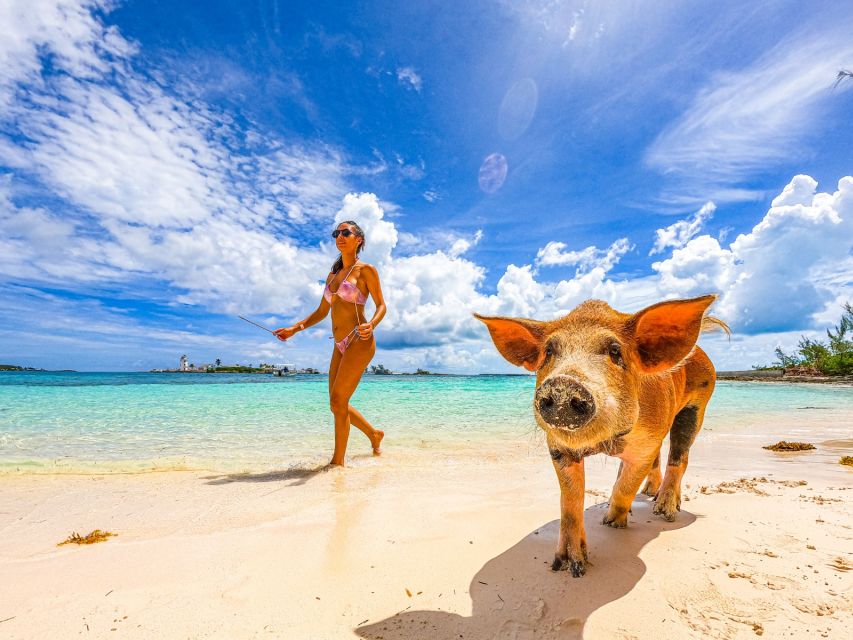 Nassau: Swimming Pigs, Snorkeling and Beach Boat Tour - Key Points